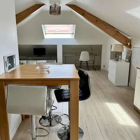 Apartamento Atypique Proche Colmar Horbourg